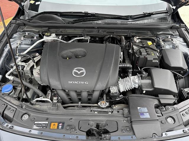 2019 Mazda3 Fastback 20S Burgundy Selection