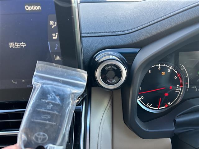 2024 Toyota Land Cruiser 300 ZX - VJA300W