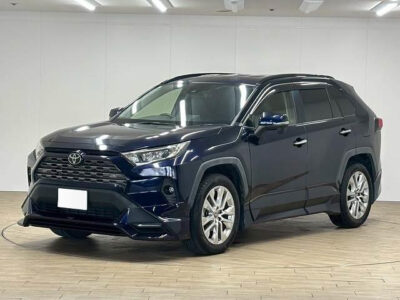 2019 Toyota Rav4 G Z Package 4WD - MXAA54