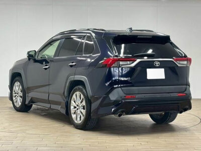 2019 Toyota Rav4 G Z Package 4WD - MXAA54