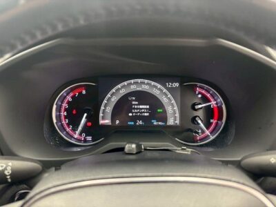 2019 Toyota Rav4 G Z Package 4WD - MXAA54