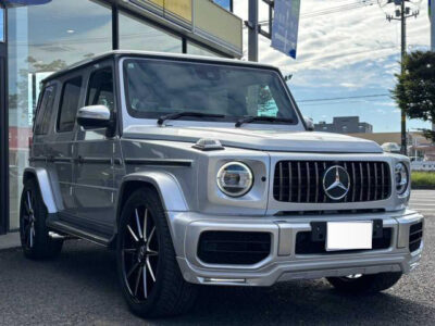 2019 Mercedes Benz G350d AMG Line