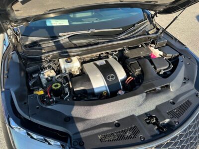 2019 Lexus RX450h F Sports