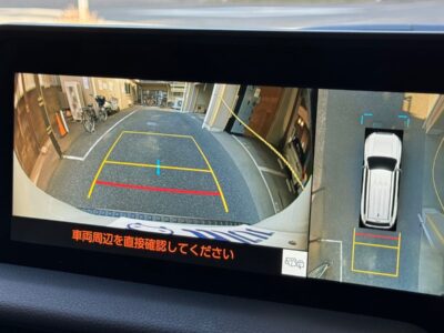 2024 Toyota Land Cruiser 250 2.7VX