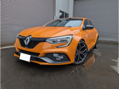 2019 Renault Megane R.S