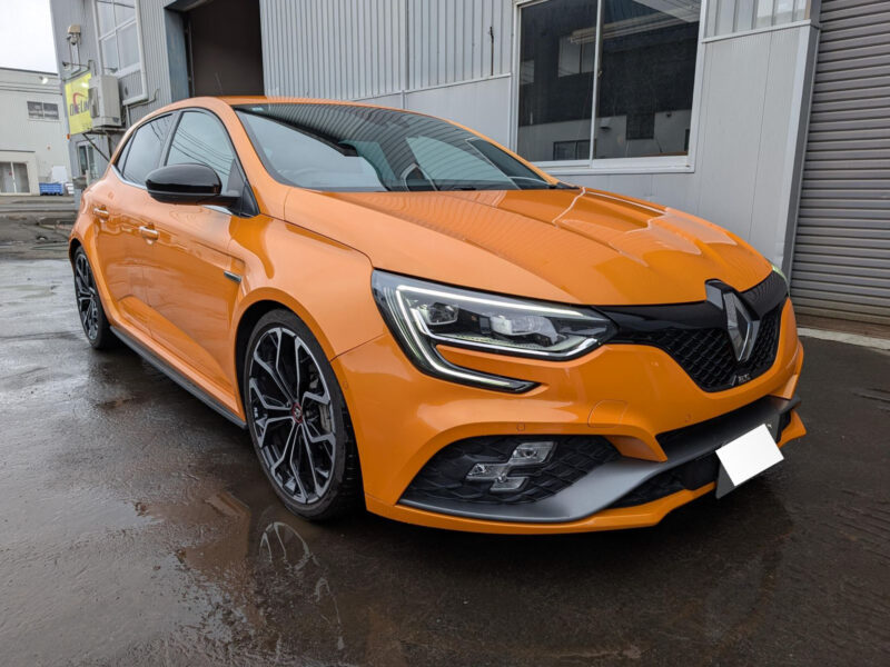2019 Renault Megane R.S