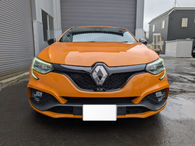 2019 Renault Megane R.S