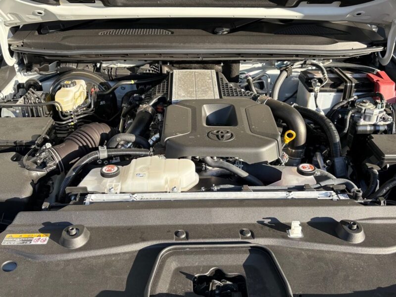 2024 Toyota Land Cruiser 250ZX GDJ250W