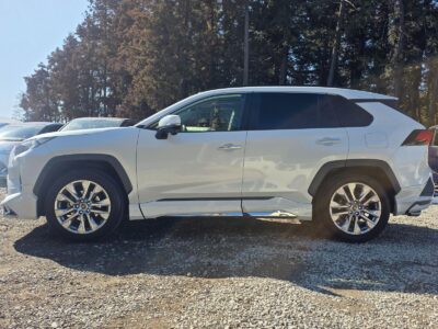 2019 Toyota Rav4 G Z Package 4WD - MXAA54