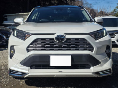 2019 Toyota Rav4 G Z Package 4WD - MXAA54