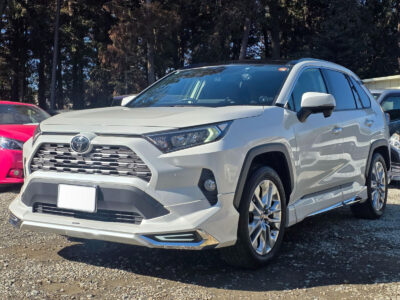2019 Toyota Rav4 G Z Package 4WD - MXAA54