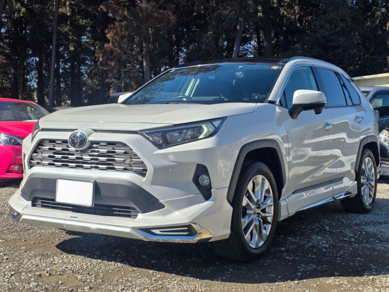 2019 Toyota Rav4 G Z Package 4WD - MXAA54
