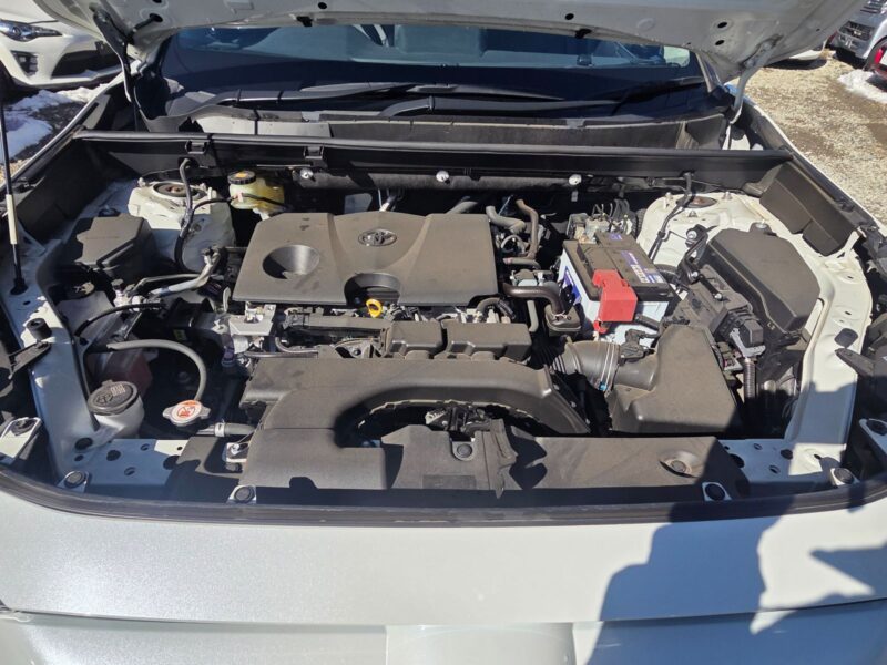 2019 Toyota Rav4 G Z Package 4WD - MXAA54