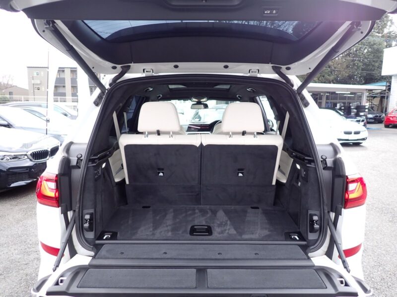 2019 BMW X7 xDrive 35d M Sport