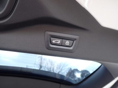 2019 BMW X7 xDrive 35d M Sport