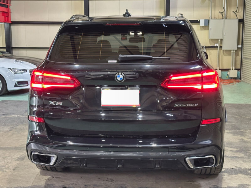 2019 BMW X5 xDrive 35d M Sport