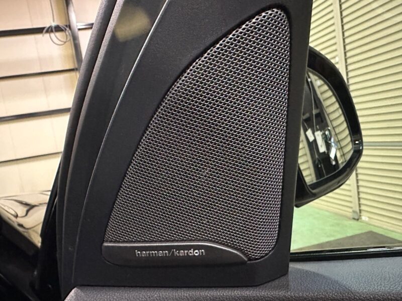 2019 BMW X5 xDrive 35d M Sport