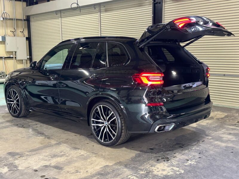 2019 BMW X5 xDrive 35d M Sport