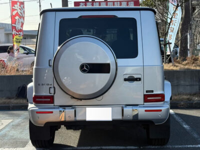 2019 Mercedes Benz G350d AMG Line