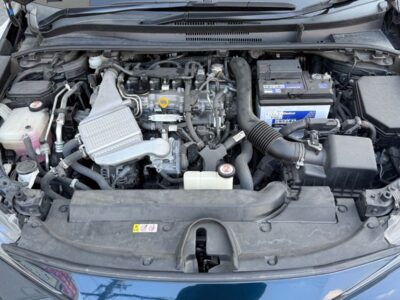 2019 Toyota Corolla Sports G Z