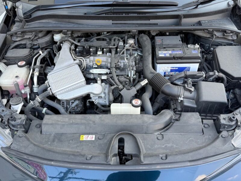 2019 Toyota Corolla Sports G Z