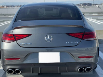 2019 Mercedes AMG CLS53 4Matic+