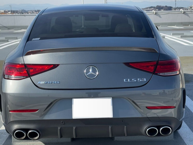 2019 Mercedes AMG CLS53 4Matic+