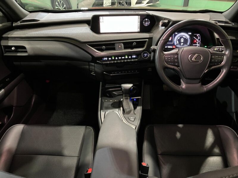 2019 Lexus UX250h Version L 4WD