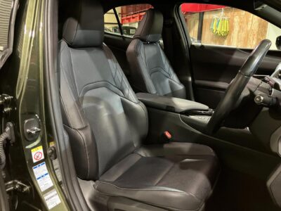 2019 Lexus UX250h Version L 4WD