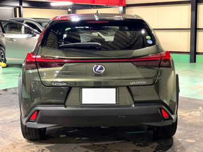 2019 Lexus UX250h Version L 4WD