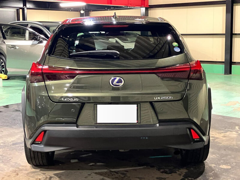 2019 Lexus UX250h Version L 4WD
