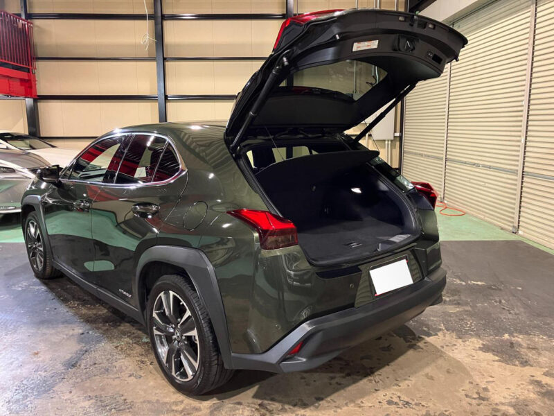 2019 Lexus UX250h Version L 4WD