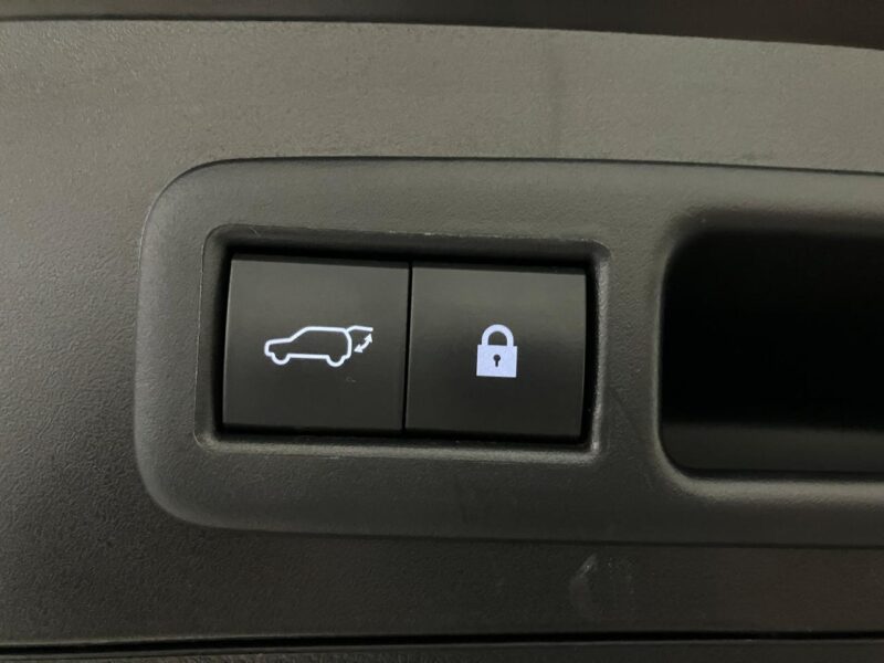 2019 Lexus UX250h Version L 4WD