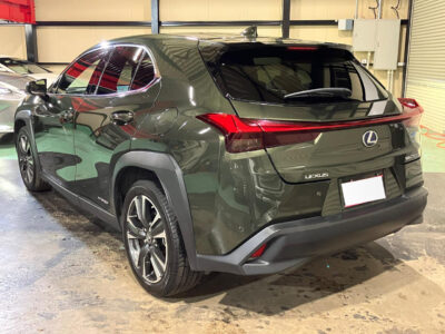 2019 Lexus UX250h Version L 4WD