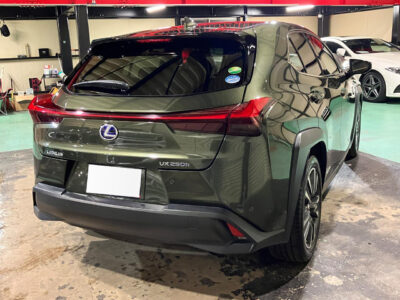 2019 Lexus UX250h Version L 4WD
