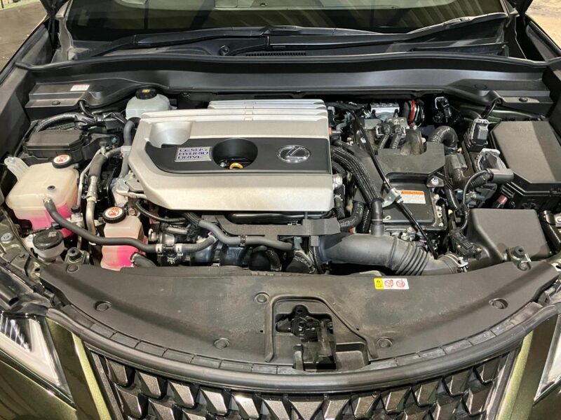 2019 Lexus UX250h Version L 4WD