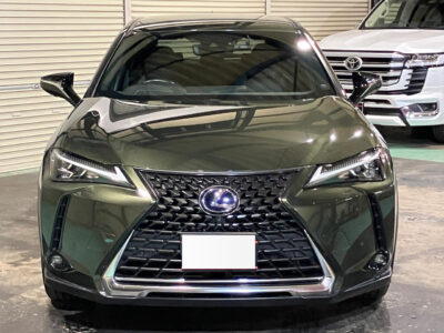 2019 Lexus UX250h Version L 4WD