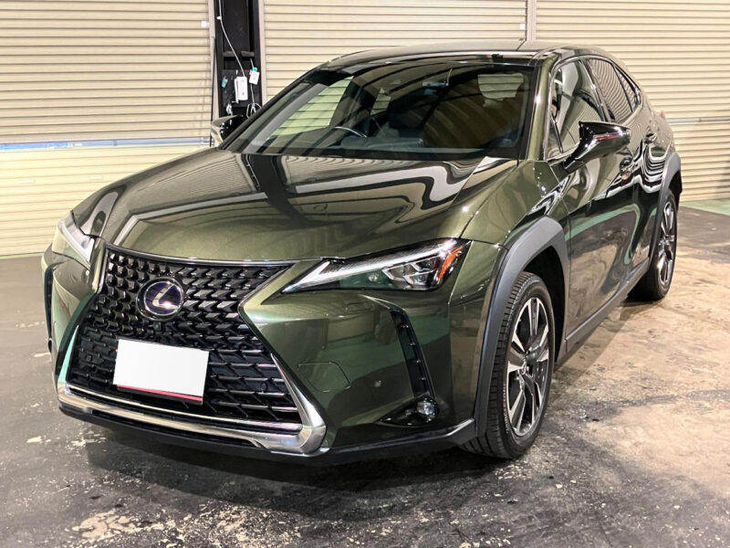 2019 Lexus UX250h Version L 4WD