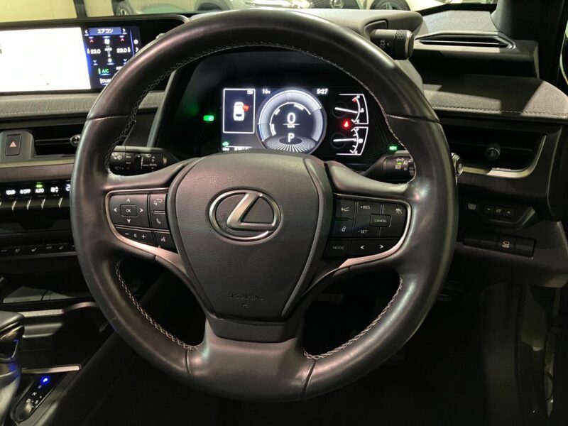 2019 Lexus UX250h Version L 4WD