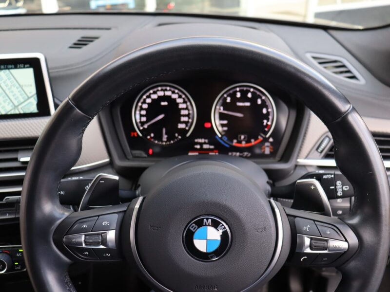 2019 BMW X2 xDrive 20i M Sport X