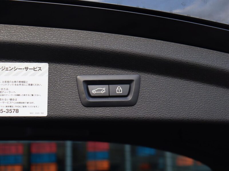 2019 BMW X2 xDrive 20i M Sport X