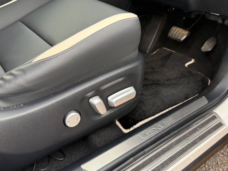 2019 LEXUS NX300 BLACK SEQUENCE