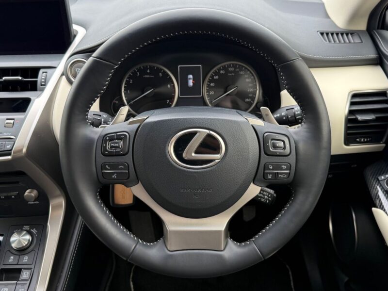 2019 LEXUS NX300 BLACK SEQUENCE