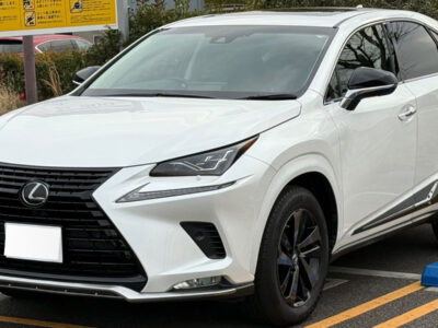 2019 LEXUS NX300 BLACK SEQUENCE