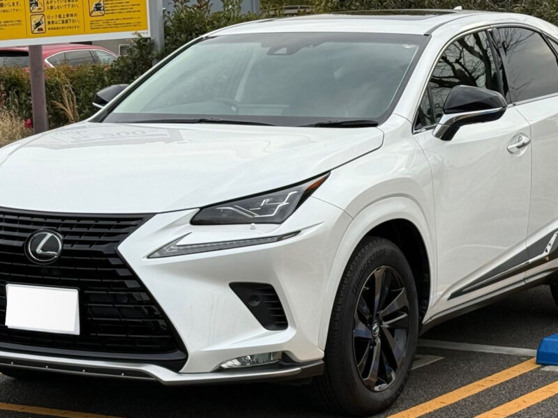 2019 LEXUS NX300 BLACK SEQUENCE