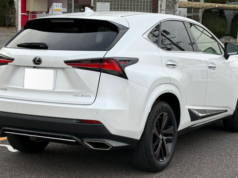 2019 LEXUS NX300 BLACK SEQUENCE