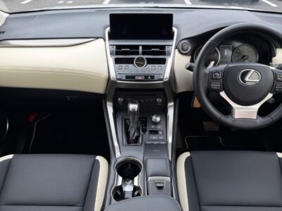 2019 LEXUS NX300 BLACK SEQUENCE