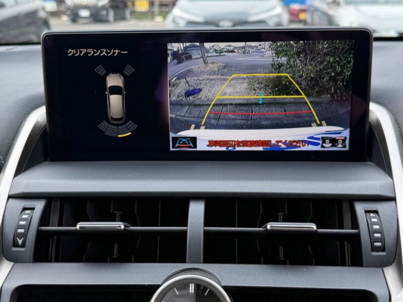 2019 LEXUS NX300 BLACK SEQUENCE