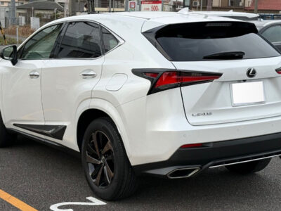 2019 LEXUS NX300 BLACK SEQUENCE