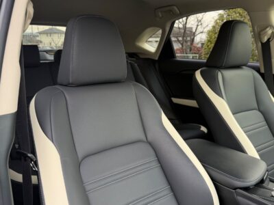 2019 LEXUS NX300 BLACK SEQUENCE